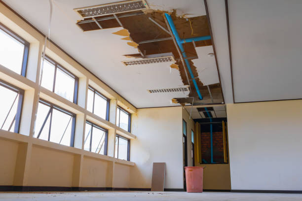 Best Water damage restoration near me  in Dixmoor, IL