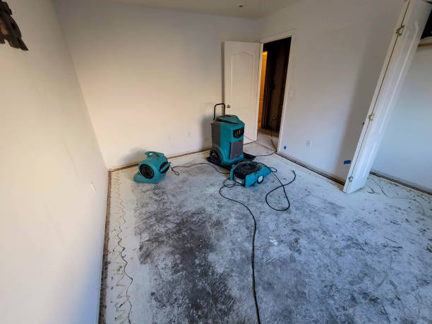 Best Sewage cleanup and water damage restoration  in Dixmoor, IL