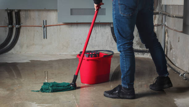 Best Flooded house restoration  in Dixmoor, IL
