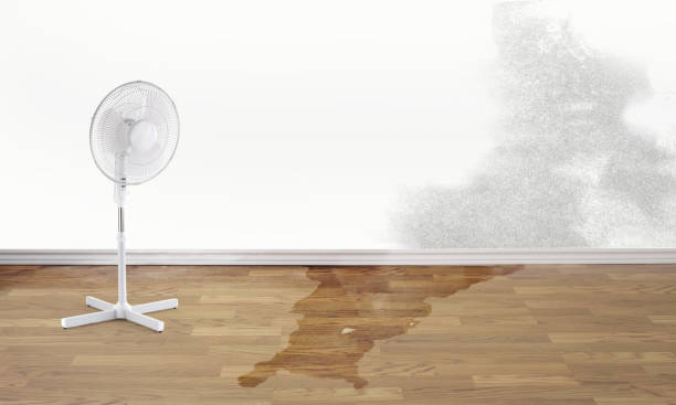 Best 24/7 water damage repair  in Dixmoor, IL