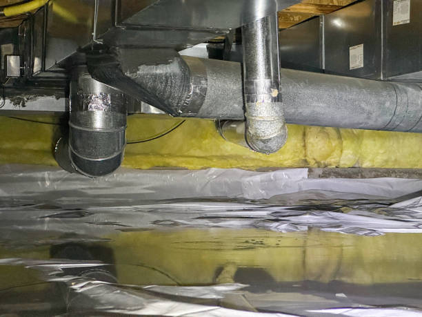 Best 24/7 water damage repair  in Dixmoor, IL
