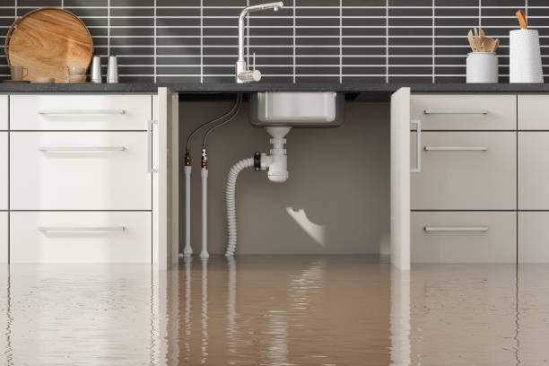 Best Water damage restoration near me  in Dixmoor, IL