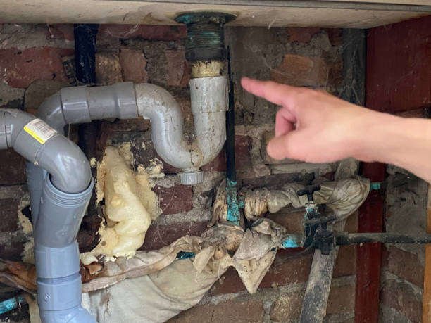 Best Water damage cleanup near me  in Dixmoor, IL